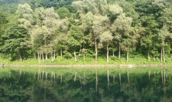 Sunčano do 35 stepeni, od sredine dana kiša na sjeveru