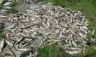 Vlada: EPCG da hitno sanira štetu u Pljevljima 