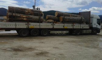 Zaplijenili 24 kubika drvne građe, pojačan nadzor u svim opštinama