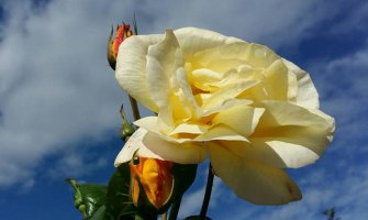 Promjenljivo oblačno uz sunčane intervale, do 20 stepeni