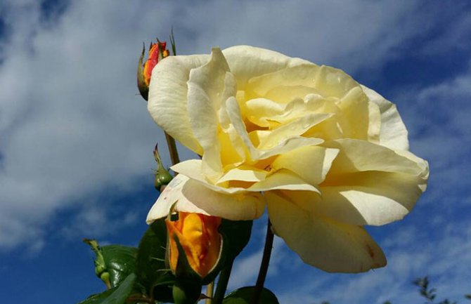 Promjenljivo oblačno uz sunčane intervale, do 20 stepeni