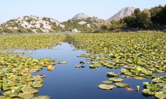 Počela modernizacija sistema naplate ulaznica