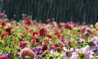 Toplo, na sjeveru kiša