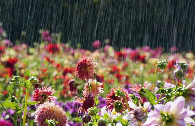 Toplo, na sjeveru kiša