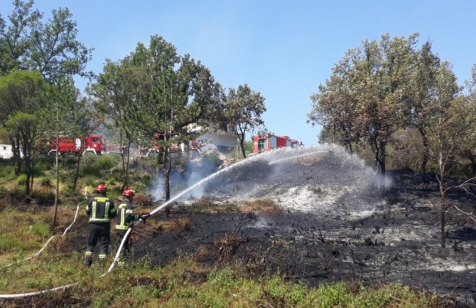 Mandić: Palili vatru uprkos zabrani