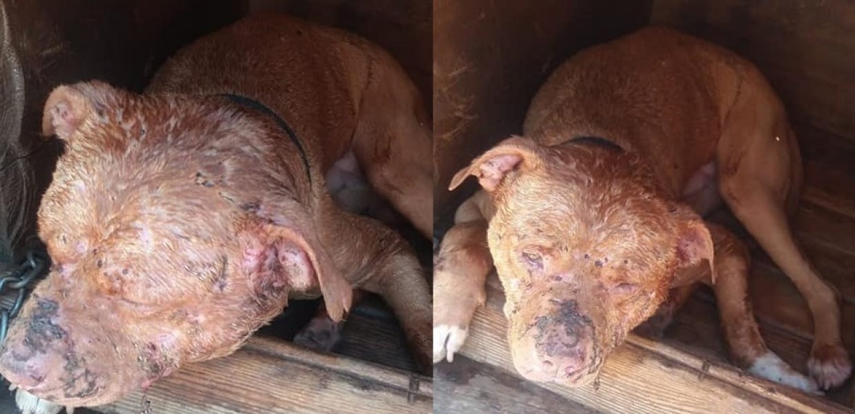 674691248470949656771044399939595249123328n