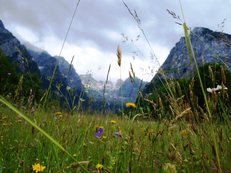 NPProkletijeArhivaNPCG