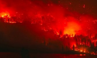 Vatra  uništila nekoliko miliona hektara šume, Putin poslao vojsku, Tramp ponudio pomoć