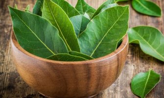 Napitak od lovorovog lista pročišćava cijelo tijelo, izbacuje soli i toksine
