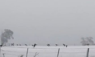 Pada snijeg u Australiji, jaki vjetrovi, niz nesreća, ima i stradalih (VIDEO)