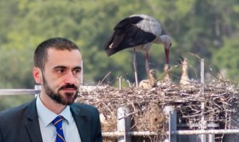 Vlahović: Ne trebaju nama rode, kad su nam vrane popile mozak