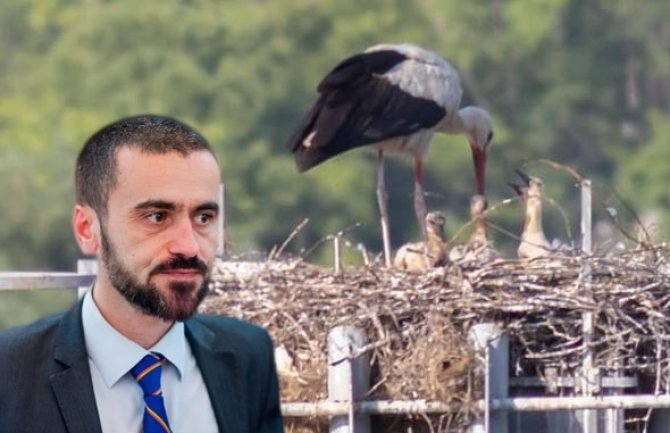 Vlahović: Ne trebaju nama rode, kad su nam vrane popile mozak