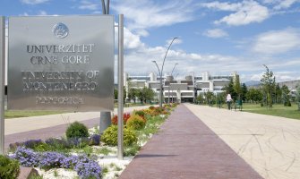 Nataša Raičević najcitiraniji profesor iz Crne Gore