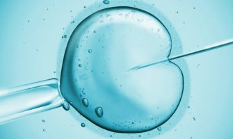 Svaki šesti par U CG ima problem neplodnosti: Rođeno 55 beba iz epruvete