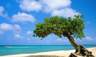 Sjutra sunčano i veoma toplo, do 37 stepeni