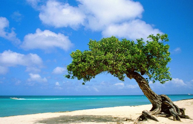 Sjutra sunčano i veoma toplo, do 37 stepeni