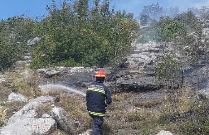 Avioni MUP-a gase požar većih razmjera na Cetinju