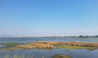 Ulcinjska solana na Ramsar listi močvarnih staništa od svjetskog značaja