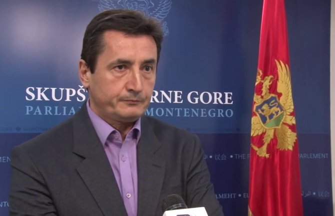 Sekulić: Napuštanjem sjednice opozicija pokazala neozbiljnost