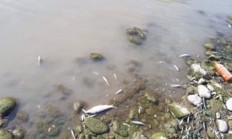 Tužilaštvo naredilo pregled fabričkih postrojenja uz obalu Lima