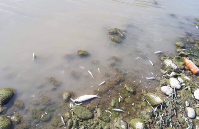 Tužilaštvo naredilo pregled fabričkih postrojenja uz obalu Lima