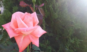 Sunčano i toplo, do 32 stepena