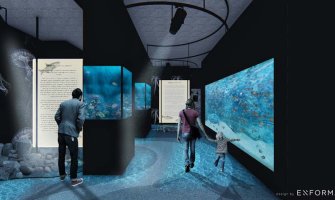 Crna Gora sledeće godina dobija prvi javni akvarijum