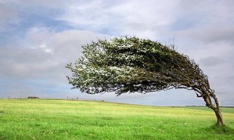 Pretežno sunčano, jak vjetar