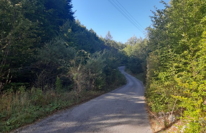 Pošumljavali šumski kompleks Seloštak: Zasađeno 200 sadnica četinara