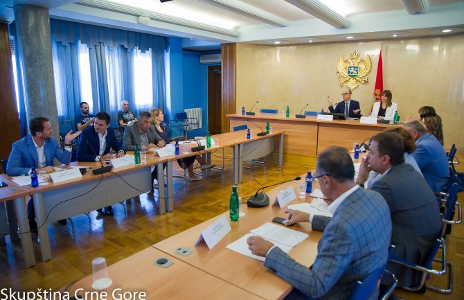 Damjanović bez podrške za članstvo u Odboru