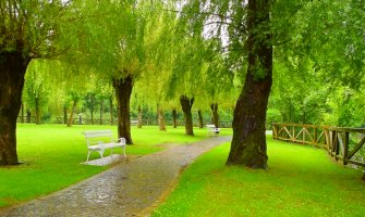 Kiša i pljuskovi praćeni grmljavinim, do 24 stepena