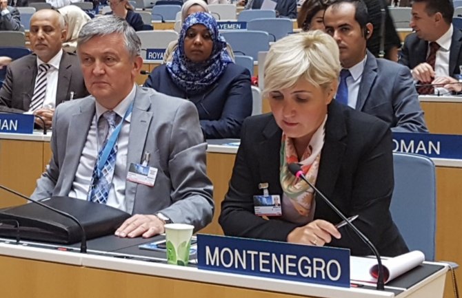 CG u potpunosti svjesna uloge i značaja intelektualne svojine u savremenom društvu