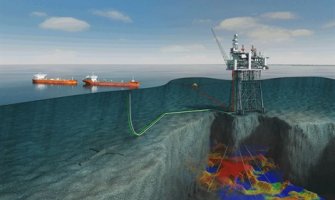 Počeo post-seizmički monitoring morske faune 