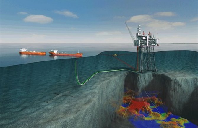 Počeo post-seizmički monitoring morske faune 