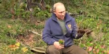 Putin proslavio svoj 67. rođendan skupljajući pečurke (VIDEO)