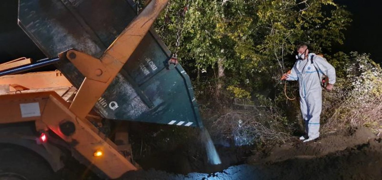 IMG7b2ec0c7864abe4fcc7a94604b09f807V