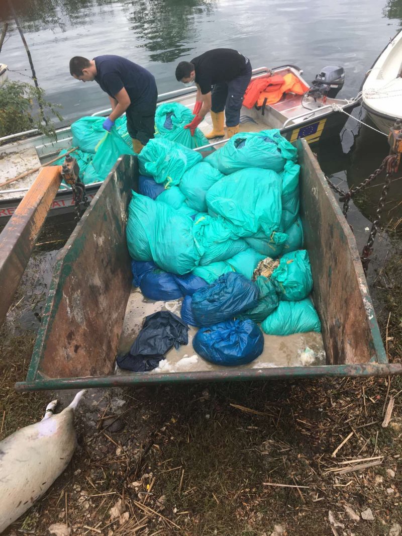 IMGa8d9b487c9b1cca4adaf1de4e77d3e79V