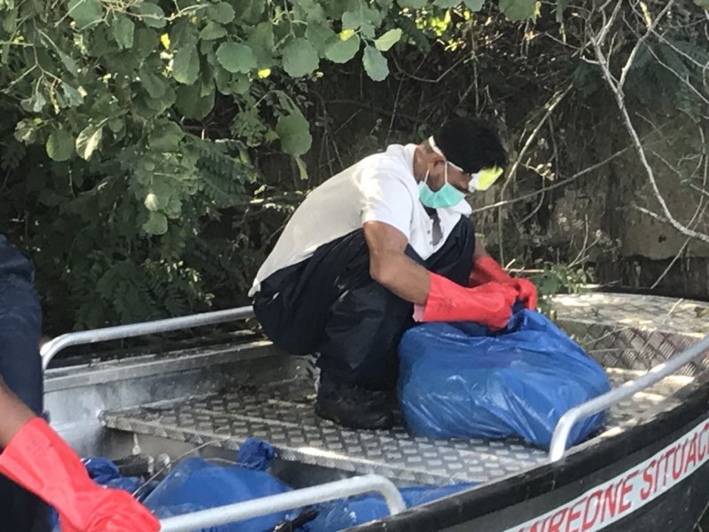 IMGfe0e73d4b35bbc4e4f8d831a0b985241V