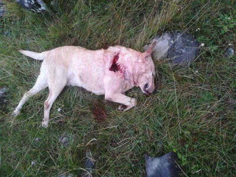 719065521391791034318633249162455979130880n