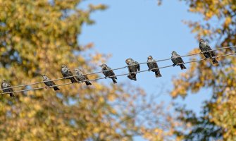 Sunčano i toplo, do 28 stepeni 