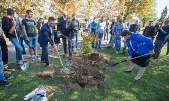 Novo drveće posađeno u danilovgradskoj gimanaziji uz podršku Delegacije EU 