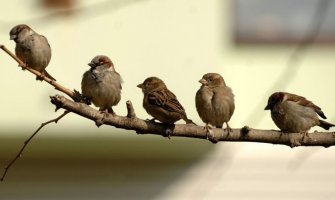 Sjutra sunčano i toplo, poslijepodne ponegdje nestabilno