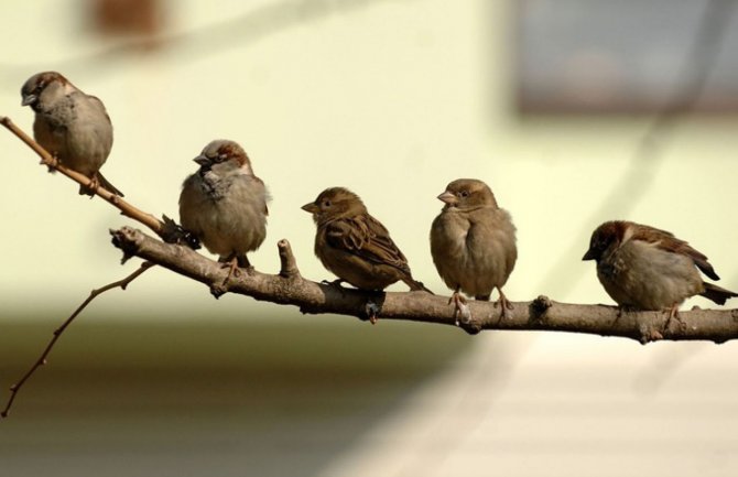 Sjutra sunčano i toplo, poslijepodne ponegdje nestabilno