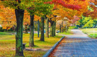 Oblačno, od sredine dana razvedravanje