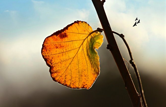 Danas pretežno oblačno, suvo i toplo