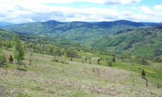 U jednom od najljepših krajeva bjelopoljske opštine preko 1.000 neženja, djevojke neće da se udaju na selo