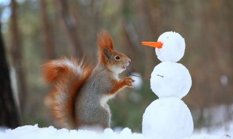 Danas hladno i vjetrovito
