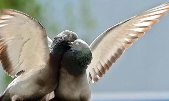 Četiri znaka horoskopa očekuje velika sreća od marta