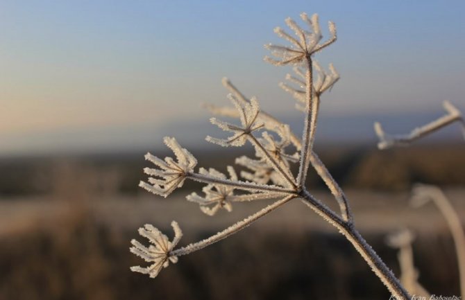 Pretežno sunčano i hladno, u kontinentalnim predjelima umjeren do jak mraz