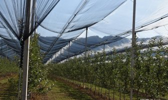 Do savremenog voćnjaka uz bespovratna podršku od 50 odsto investicije